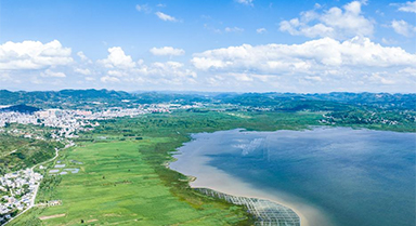 草海夏日風光美